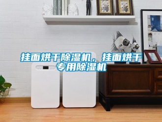 企業新聞掛面烘干除濕機，掛面烘干專用除濕機