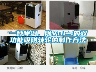 常見問題一種除濕、除VOCs的雙功能吸附轉輪的制作方法