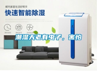 企業新聞潮濕天老有蟲子，害怕