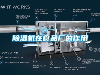 企業新聞除濕機在食品廠的作用