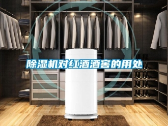 企業新聞除濕機對紅酒酒窖的用處