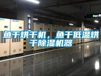 知識百科魚干烘干機，魚干低溫烘干除濕機器