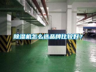 企業新聞除濕機怎么選品牌比較好？