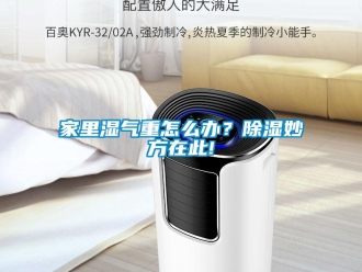 常見問題家里濕氣重怎么辦？除濕妙方在此!