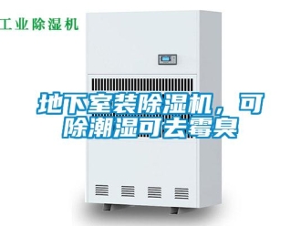 企業新聞地下室裝除濕機，可除潮濕可去霉臭