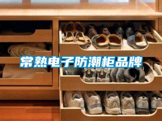 企業新聞常熟電子防潮柜品牌