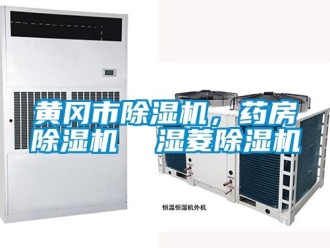 行業新聞黃岡市除濕機，藥房除濕機  濕菱除濕機