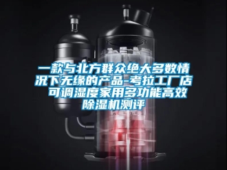 常見問題一款與北方群眾絕大多數情況下無緣的產品-考拉工廠店 可調濕度家用多功能高效除濕機測評