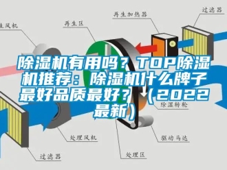 行業新聞除濕機有用嗎？TOP除濕機推薦：除濕機什么牌子最好品質最好？（2022最新）