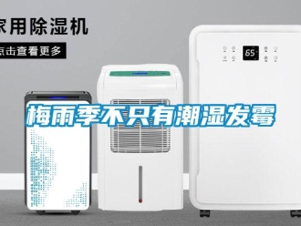 行業新聞梅雨季不只有潮濕發霉