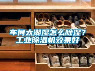 常見問題車間太潮濕怎么除濕？工業除濕機效果好