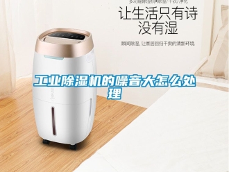 常見問題工業除濕機的噪音大怎么處理