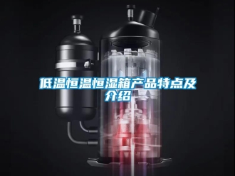 知識百科低溫恒溫恒濕箱產品特點及介紹