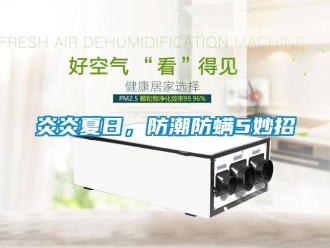 知識百科炎炎夏日，防潮防螨5妙招