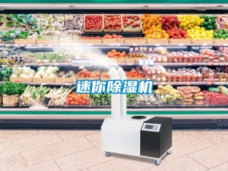 行業新聞迷你除濕機