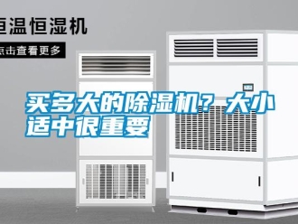 行業新聞買多大的除濕機？大小適中很重要