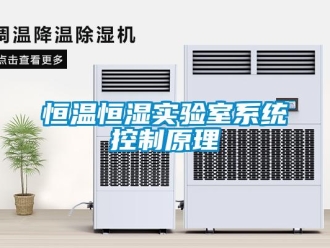 知識百科恒溫恒濕實驗室系統控制原理