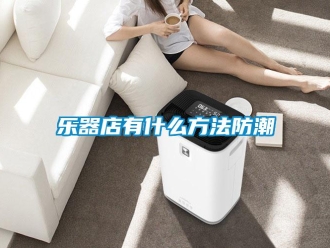 行業新聞樂器店有什么方法防潮