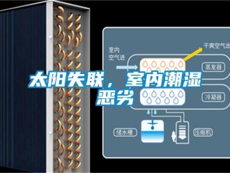 知識百科太陽失聯，室內潮濕惡劣
