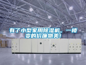 知識百科有了小型家用除濕機，一樓變的價廉物美！