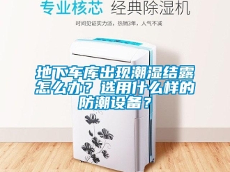 企業新聞地下車庫出現潮濕結露怎么辦？選用什么樣的防潮設備？