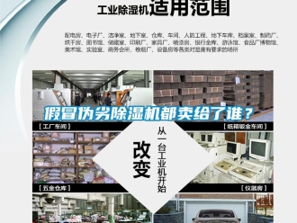 行業新聞假冒偽劣除濕機都賣給了誰？
