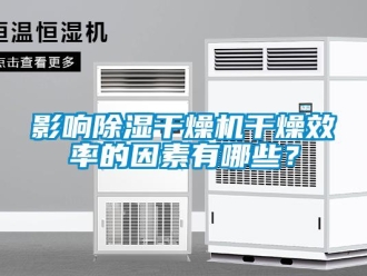 知識百科影響除濕干燥機干燥效率的因素有哪些？