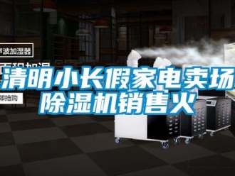 行業新聞清明小長假家電賣場除濕機銷售火