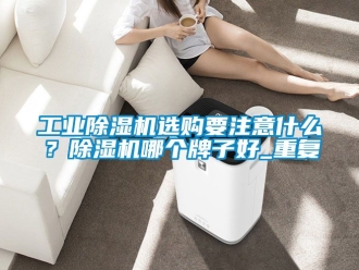 常見問題工業除濕機選購要注意什么？除濕機哪個牌子好_重復