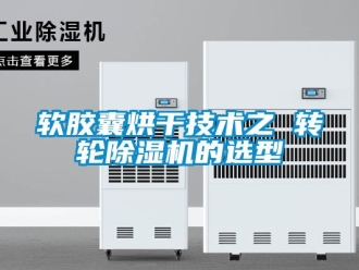 行業新聞軟膠囊烘干技術之 轉輪除濕機的選型