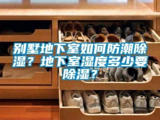 企業新聞別墅地下室如何防潮除濕？地下室濕度多少要除濕？