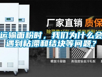 常見問題運輸面粉時，我們為什么會遇到粘滯和結塊等問題？