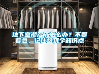 企業新聞地下室潮濕了怎么辦？不要著急，記住這幾個知識點