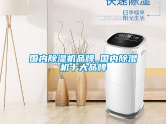 企業新聞國內除濕機品牌_國內除濕機十大品牌