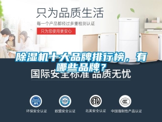 企業新聞除濕機十大品牌排行榜，有哪些品牌？