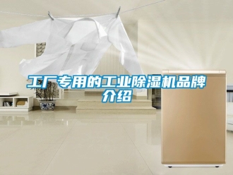 常見問題工廠專用的工業除濕機品牌介紹