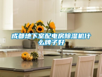 企業新聞成都地下室配電房除濕機什么牌子好