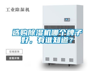 行業新聞選購除濕機哪個牌子好，有誰知道？