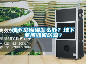企業新聞地下室潮濕怎么辦？地下室應如何防潮？