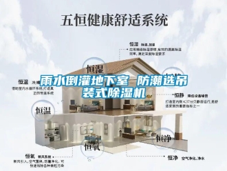 知識百科雨水倒灌地下室 防潮選吊裝式除濕機
