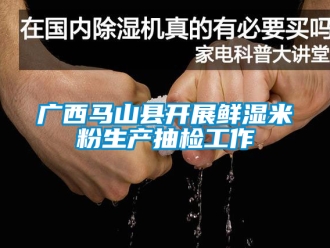 企業新聞廣西馬山縣開展鮮濕米粉生產抽檢工作