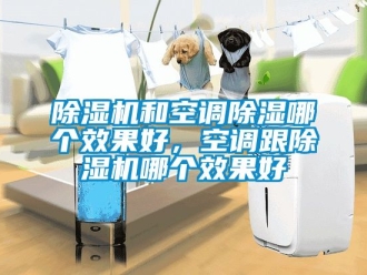 行業新聞除濕機和空調除濕哪個效果好，空調跟除濕機哪個效果好