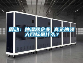 知識百科震動：抽濕器企業 真正的強大目標是什么？