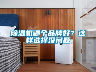 常見問題除濕機哪個品牌好？這樣選擇沒問題