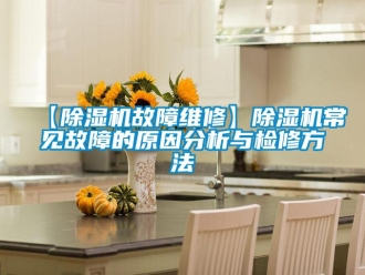 企業新聞【除濕機故障維修】除濕機常見故障的原因分析與檢修方法