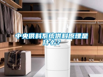 知識百科中央供料系統供料原理是什么？