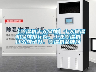 常見問題【除濕機十大品牌】十大抽濕機品牌排行榜、工業除濕機什么牌子好、除濕機品牌網