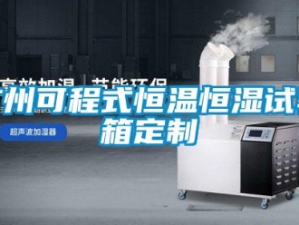 知識百科廣州可程式恒溫恒濕試驗箱定制