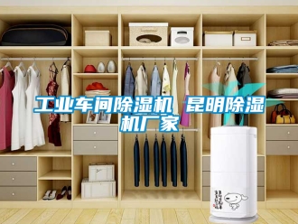 企業新聞工業車間除濕機 昆明除濕機廠家
