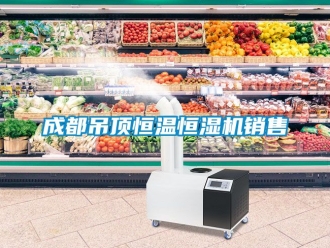 知識百科成都吊頂恒溫恒濕機銷售